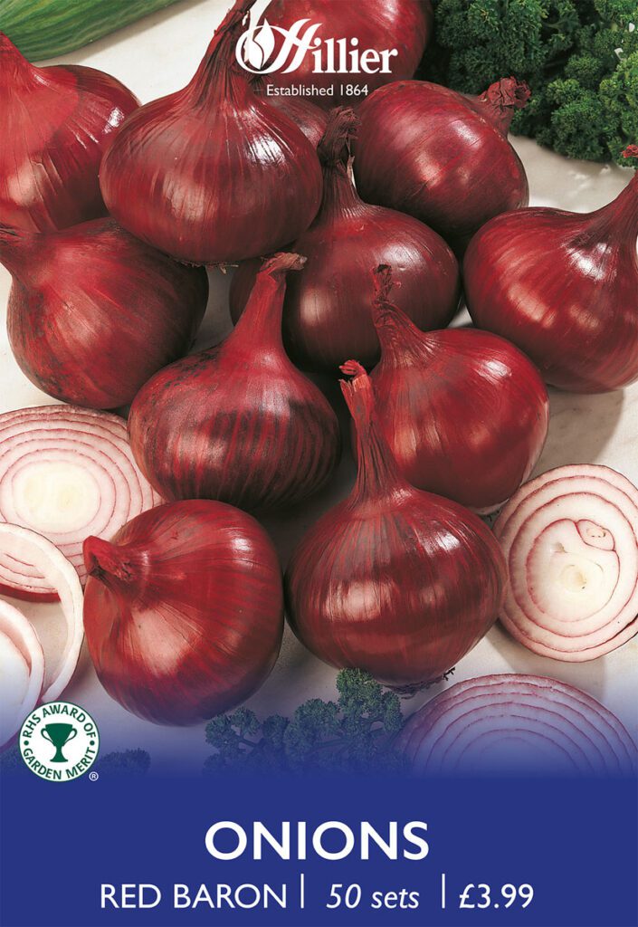 Red Baron Onion Sets 8718641999301 2